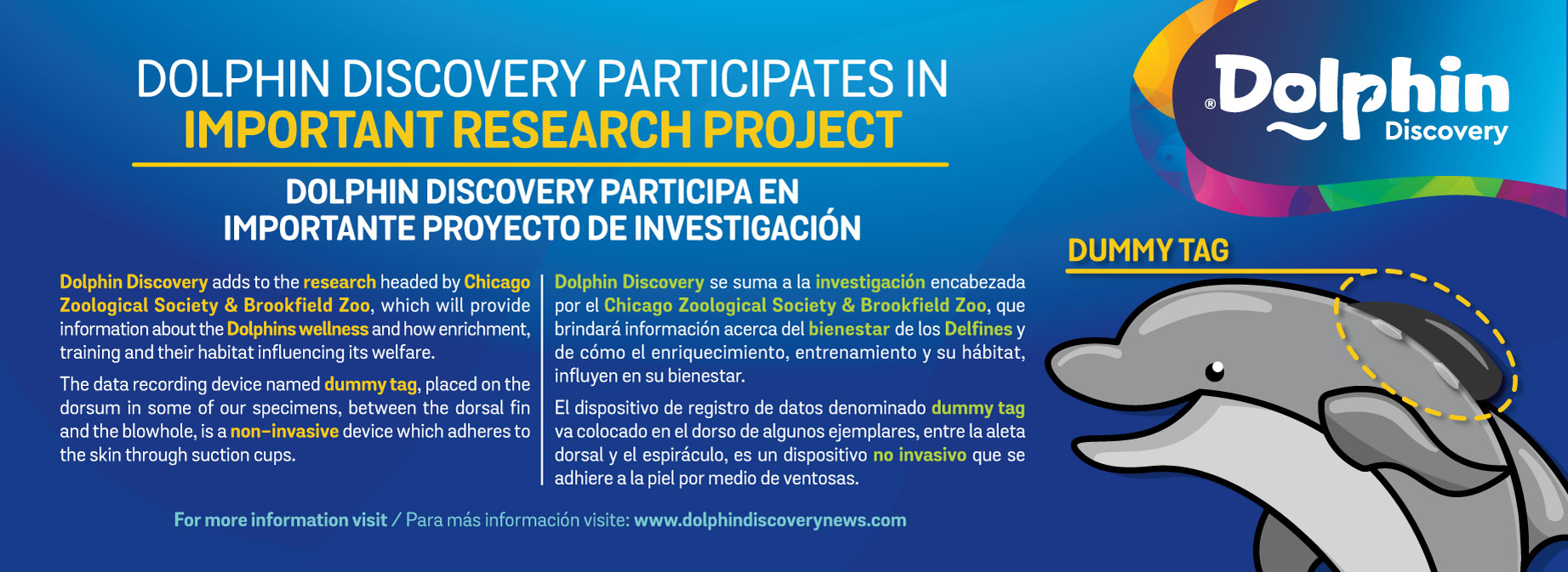 Dolphin Discovery participa en importante Proyecto internacional de ...